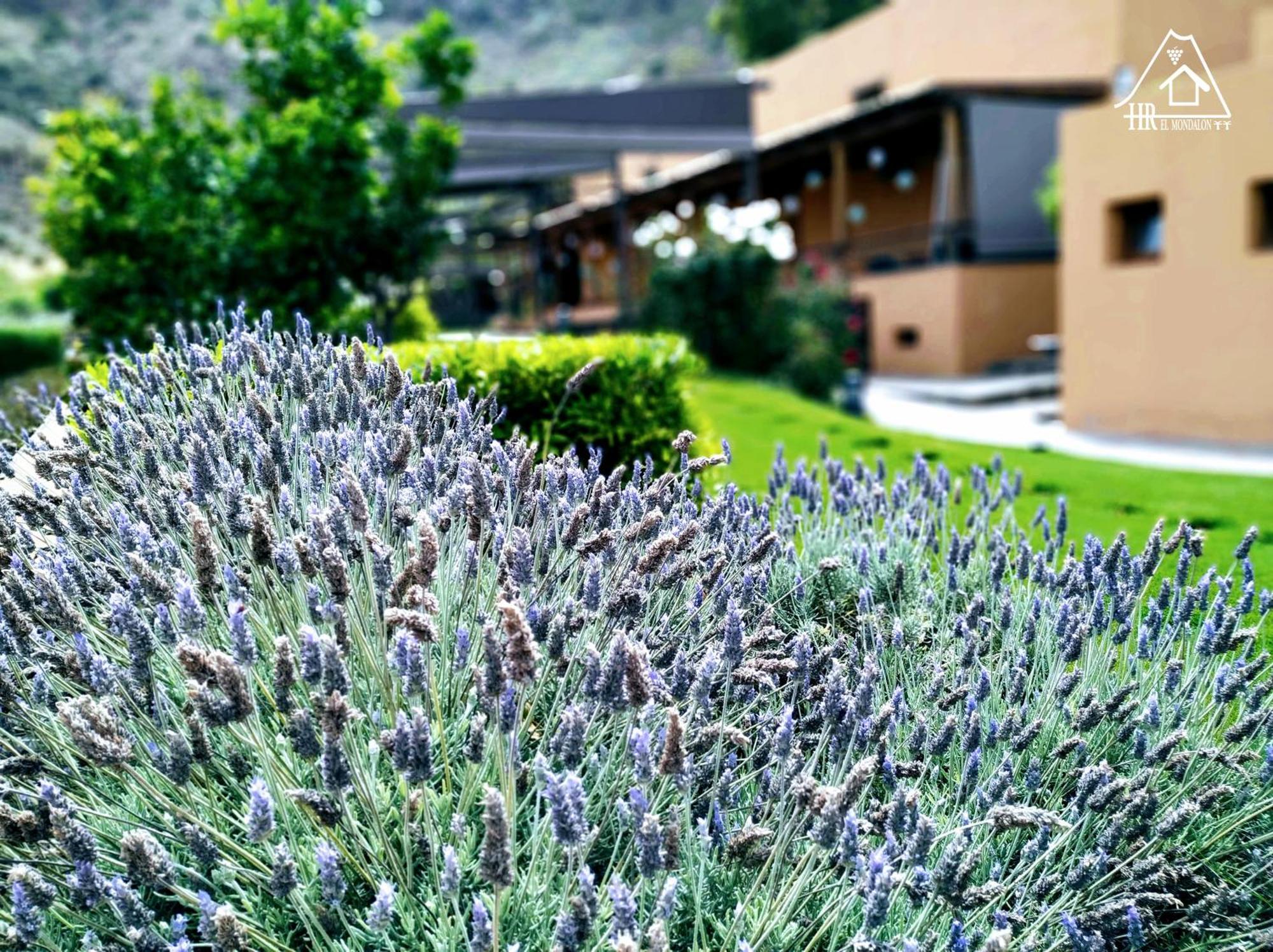 Hotel Rural El Mondalon Las Palmas Buitenkant foto